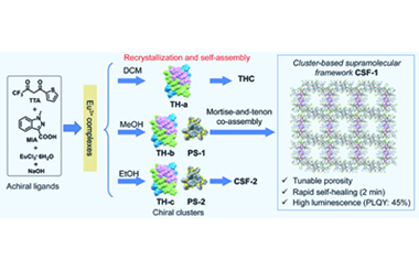 A rapidly self-healing emissive europium cluster-based supramolecular framework via solvent-driven hierarchical co-assembly 2026.100987